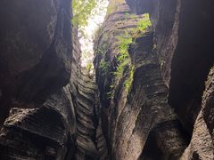 -梭布垭石林景区