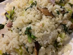 -舒蔡记生煎菜饭(云南中路店)