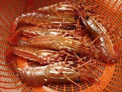 -海九澎湖海鲜餐厅