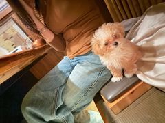 -牛道·和牛九食(市府恒隆广场店)