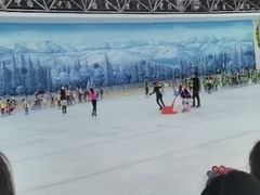 -世界之窗阿尔卑斯冰雪世界