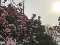 -白塘生态植物园