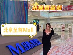 -红星美凯龙北京至尊MALL(东四环中路店)