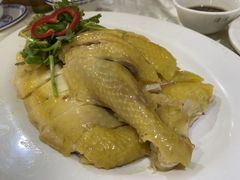 湛江白切扇鸡-茂港柏香(侨港路店)