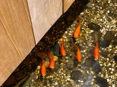 -邈墨茶馆(凤起路店)