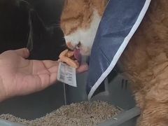 -邢大夫动物医院