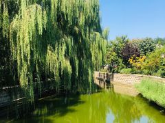 门面-北门涮肉·炭火铜锅涮肉(什刹海店)