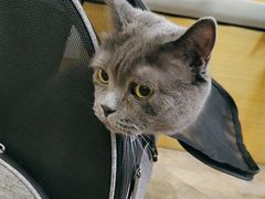 -美联众合动物医院·24h转诊中心