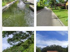 -顺峰山公园
