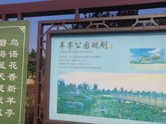 -羊亭河湿地公园