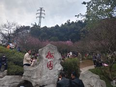 -重庆彩云湖湿地公园