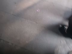 -阿伟海鲜楼·福建菜(涵江店)