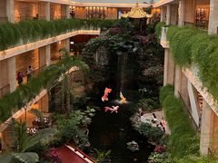 -广州白天鹅宾馆