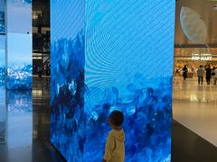 -深圳湾万象城(南山店)