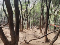 -灵岩山风景区