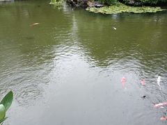 -苏苑饭店-中餐厅(长桥地区店)