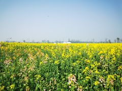 -中国天府农业博览园