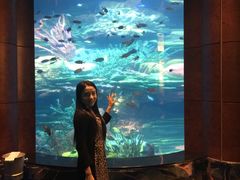 -迪拜帆船酒店海底餐厅