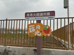 -辛庄国际文化艺术区