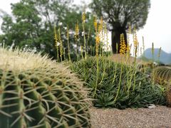 -Club Med地中海俱乐部·桂林度假村