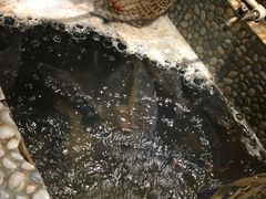 -蜀留香石锅鱼(六顺街店)