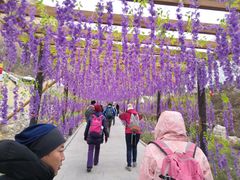 -大平台龙居瀑布旅游区