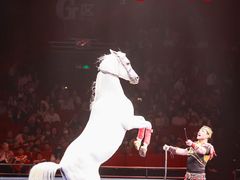 -珠海横琴长隆《卡卡虎奇遇记》