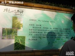 -紫竹院公园冰场