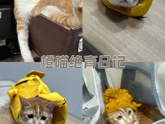 -荔康动物医院(康王北路店)