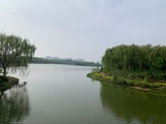 -大兴滨河森林公园