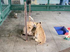 -秦皇岛野生动物园