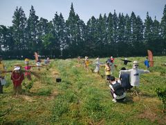 -前小桔亲子创意农场·草莓采摘·露营烧烤