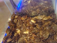 -圣罗巴海鲜烤肉自助(新乡万达店)