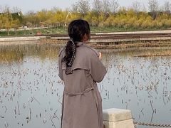 -天津东丽湖风景区