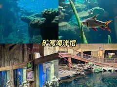 -长鹿旅游休博园