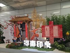 -郑州新郑国际机场-T2航站楼