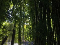 -新竹里馆·花园餐厅(兴苑路店)