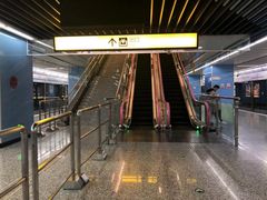 -大龙山(地铁站)