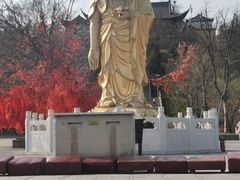 -冶父山国家森林公园
