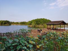 -上海市保健医疗中心