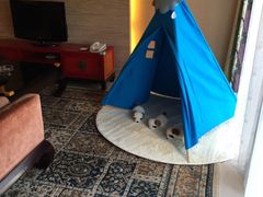 -太阳岛度假酒店