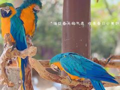 -太湖龙之梦