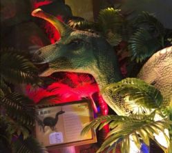 -恐龙探索乐园(磁器口店)