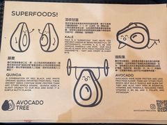 -油梨树 AVOCADO TREE(亮马桥店)