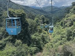 -野象谷景区