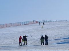 -绿野森林乐园冰雪季