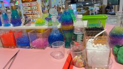 -卡通尼·Safari非洲探索乐园·生日会(金桥国际商业广场店)