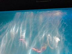 -常州海昌海洋探索馆