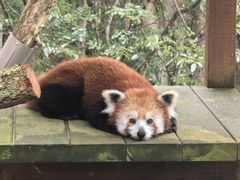 -可伦宾野生动物保护区