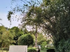 -晓港公园